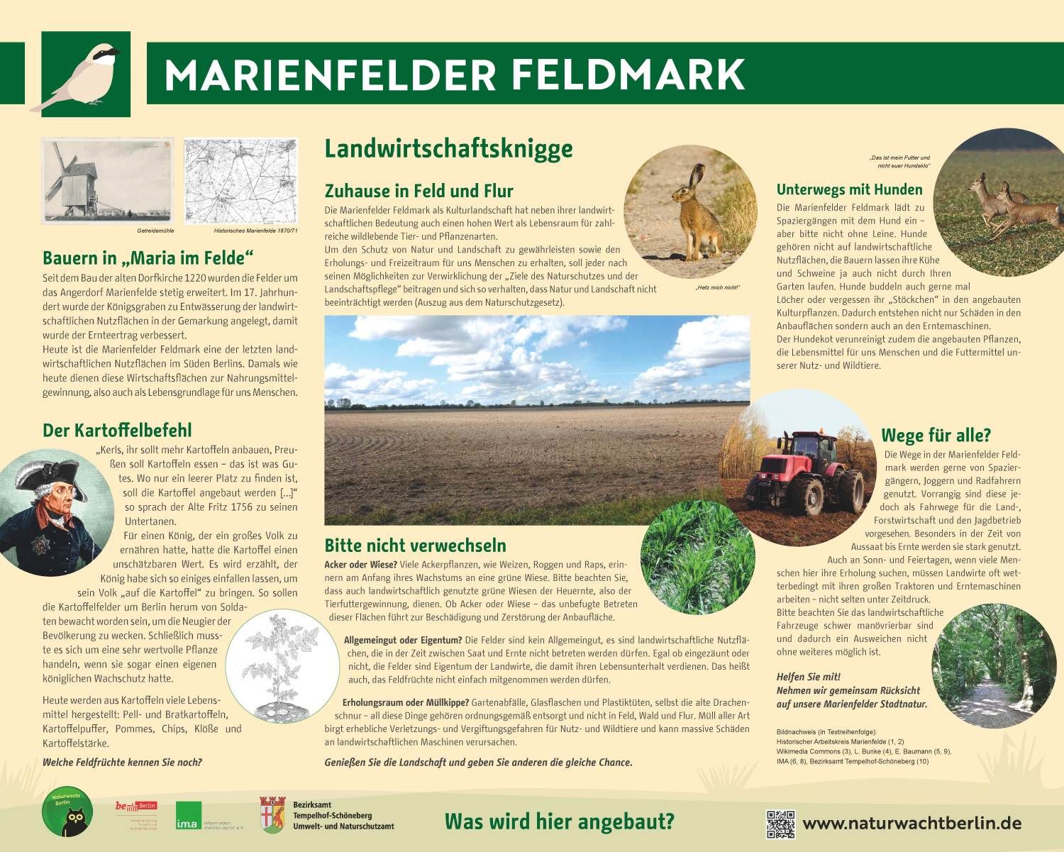 Infotafel Landwirtschaft in der Marienfelder Feldmark