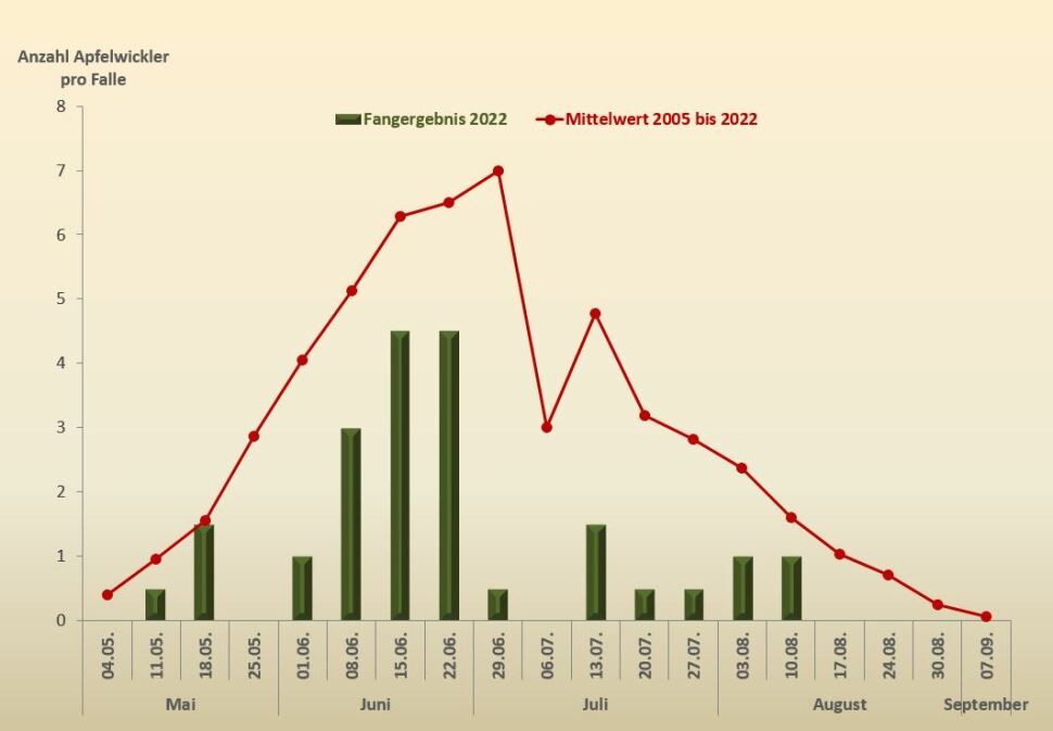 Jahreszyklus des Apfelwicklers 2022 im Vergleich zum Mittelwert (2005 bis 2022)