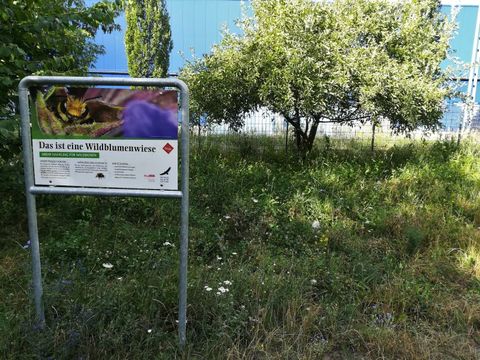 Kennzeichnung der Wildblumenwiese am Wriezener Park