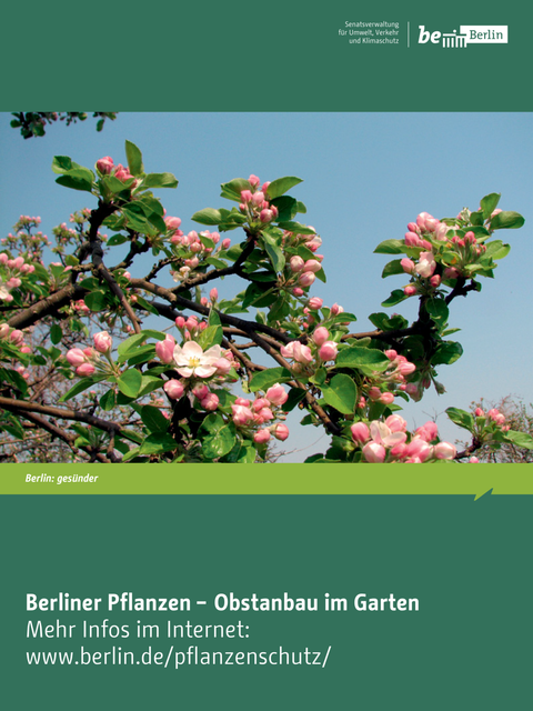 Bildvergrößerung: Berliner Pflanzen – Obstanbau im Garten