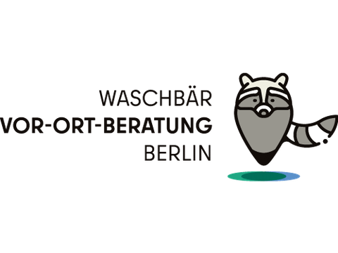 Waschbär-Vor-Ort-Beratung Berlin