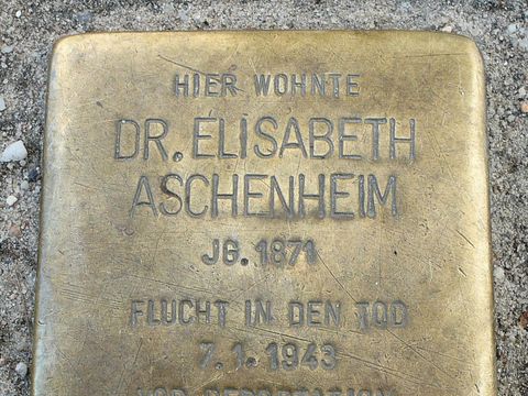 Stolperstein Dr. Elisabeth Aschenheim