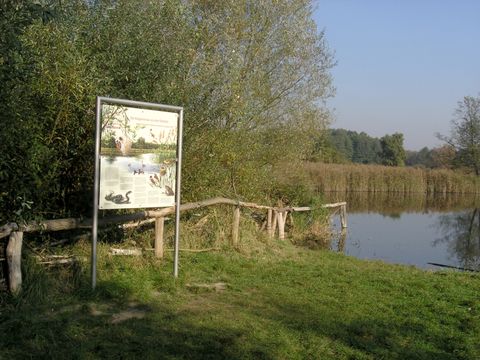 Bildvergrößerung: NSG Niedermoorwiesen am Tegeler Fließ, Informationstafel am Köppchensee 