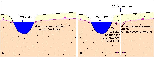 Abb. 4: Infiltration: a) effluente Verhältnisse (links), b) influente Verhältnisse (rechts)