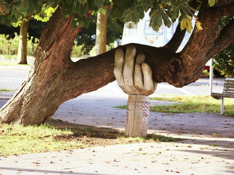 Holzhand hält Seitenstamm eines Baumes