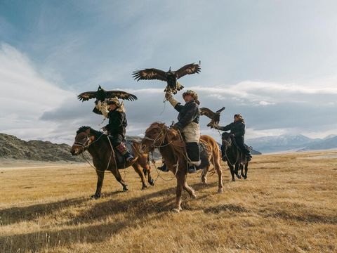 drei Reiter in der Mongolischen Steppe mit Adlern auf dem Arm zur Jagd bereit