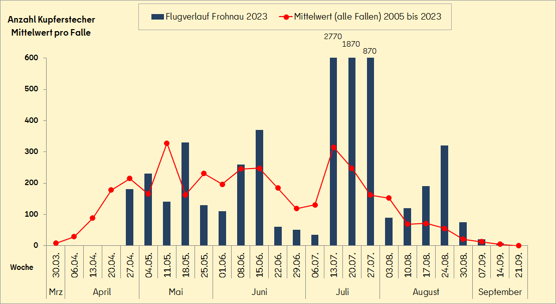 Flugverlauf des Kupferstechers 2023 in Berlin Frohnau im Vergleich zum mittleren Flugverlauf (2005 bis 2023) 