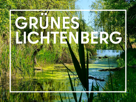 Teasergrafik Grünes Lichtenberg
