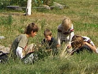 Kinder spielen lernen Natur