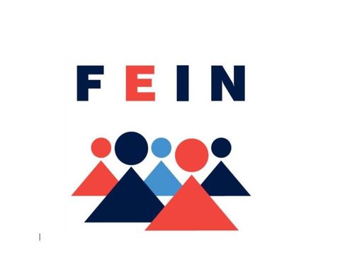FEIN-Logo