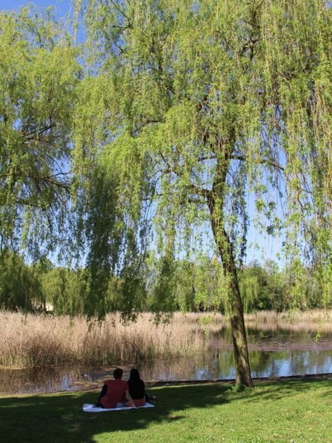 Bildvergrößerung: Ein Pärchen sitzt auf einer Wiese vor einem Teich.