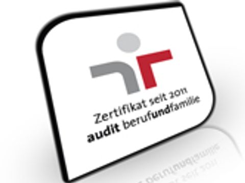 Audit Logo