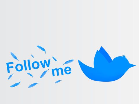 Twittervogel mit Follow me