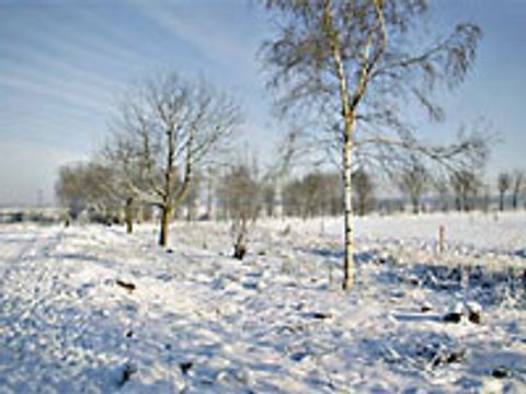Falkenberger Feldmark im Winter