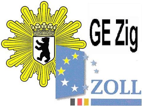 Logo GE Zig