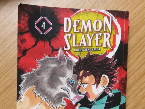 Cover von "Demon Slayer"