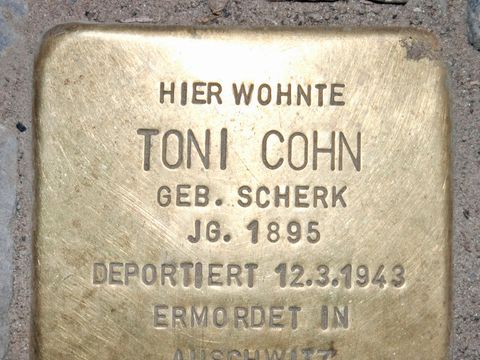 Stolperstein Toni Cohn