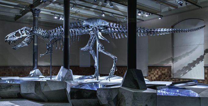 Bildvergrößerung: Das 12 Meter lange Skelett des Tyrannosaurus rex