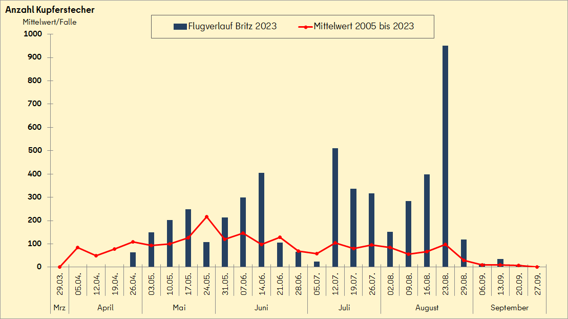 Flugverlauf des Kupferstechers 2023 in Berlin-Britz im Vergleich zum mittleren Flugverlauf (2005 bis 2023) 