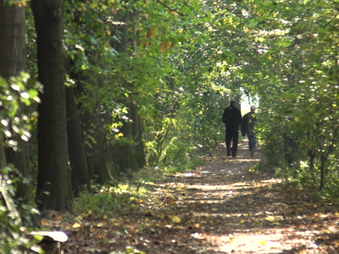 Zu sehen sind zwei Personen, die zwischen den Bäume im Marienfelder Feldmark spazieren gehen.