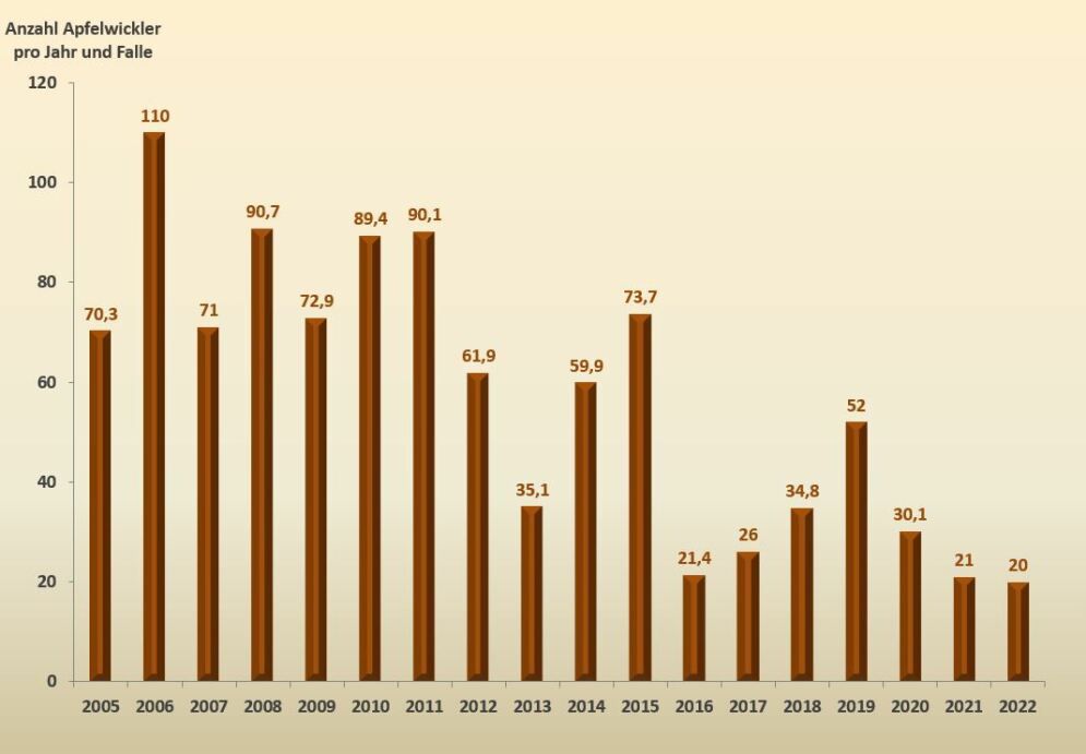 Auftreten des Apfelwicklers 2005 bis 2022