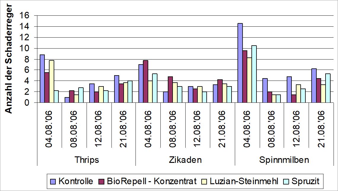 Bildvergrößerung: Abb.1: Zur Wirkung einer einmaligen Applikation von Pflanzenstärkungsmitteln (BioRepell und Luzian-Steinmehl) und Spruzit auf Thripse, Zikaden und Spinnmilben an Kräuterarten, Berlin, 2006