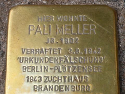 Stolperstein Pali Meller, Foto: C. Timper