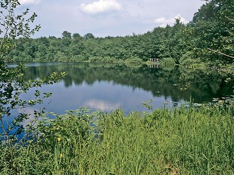 NATURA 2000-Gebiet Teufelsseemoor Köpenick