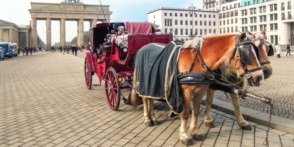 Pferdekutsche steht auf dem Pariser Platz vor dem Brandenburger Tor