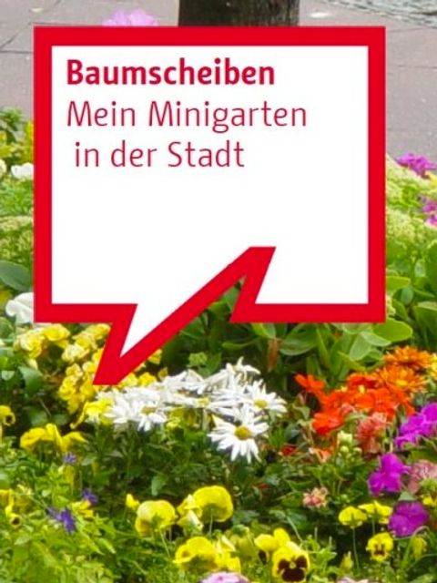 Bildvergrößerung: Baumscheiben: Mein Minigarten in der Stadt