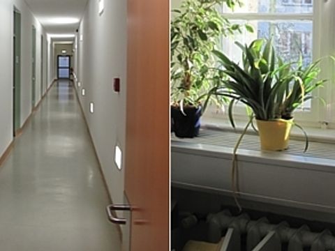 Beleuchteter Büroflur, Zimmerpflanzen auf der Heizung