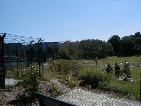 Blick von der Parkbank vor dem Bodenfilter auf die viel besuchte Liegewiese des Halensees (Juli 2008)