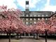 Rathaus Tiergarten mit blühenden Kirschbäumen