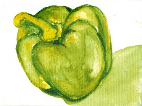 Grüne Paprika, 10 x 15 cm, Wasserfarbe