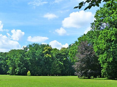 Tiergarten, Sonnenwetter, Ozon