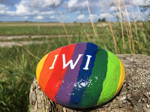 Name "iwi" der queeren Jugendgruppe auf einem Stein in Regenbogenfarben