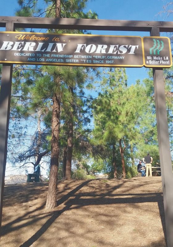 Berlin Forest im Griffith Park, L.A.