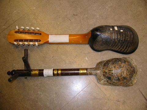 Musikinstrumente aus Gürteltier und Schildkrötenpanzer