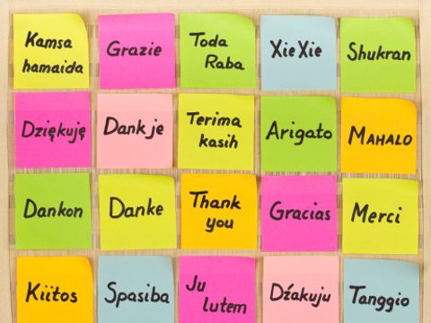 Bunte Post-its auf denen Danke in verschiedenen Sprachen steht