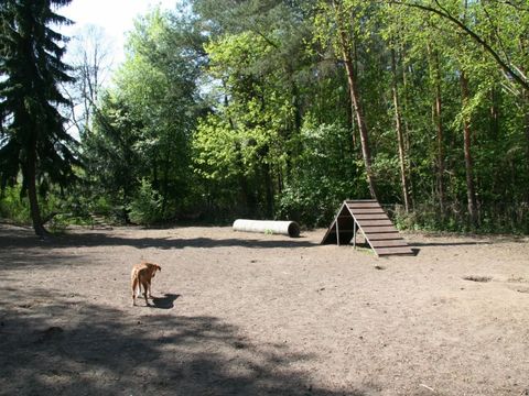 Hundegarten im Steinbergpark