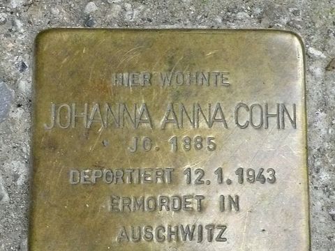 Stolperstein Johanna Anna Cohn