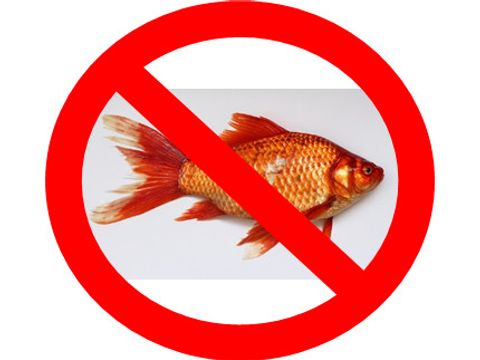 Logo Fischverbot