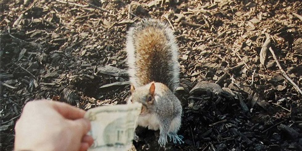 "Geld für Eichhörnchen", Aktion nach dem Börsencrash, New York, 2007 