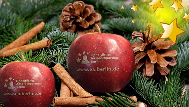 Mit dem Logo des Einheitlichen Ansprechpartners Berlin bedruckte Äpfel inmitten von Tannenzweigen und Zimtstangen