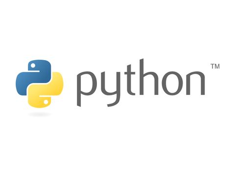 Python Logo auf weißem Untergrund