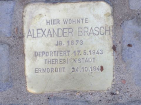 Stolperstein Alexander Brasch
