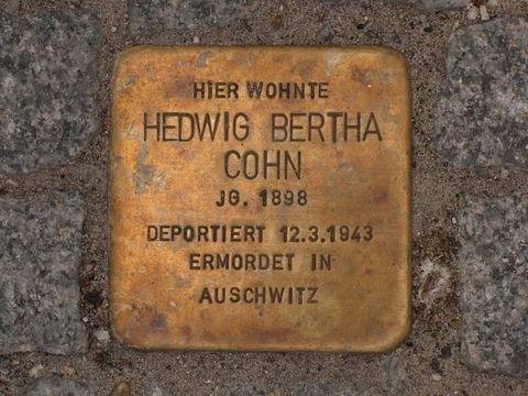Stolperstein Hedwig Bertha Cohn