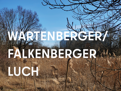Teaser Wartenberger/Falkenberger Luch