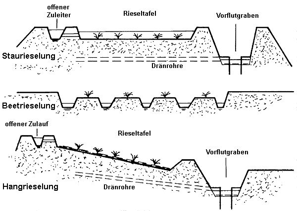 Abb. 1: Schematische Darstellung der Berieselungsarten (nach Erhardt et al. 1991)
