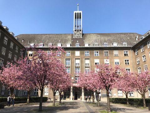 Blick auf das Rathaus Tiergarten mit Kirchblüte